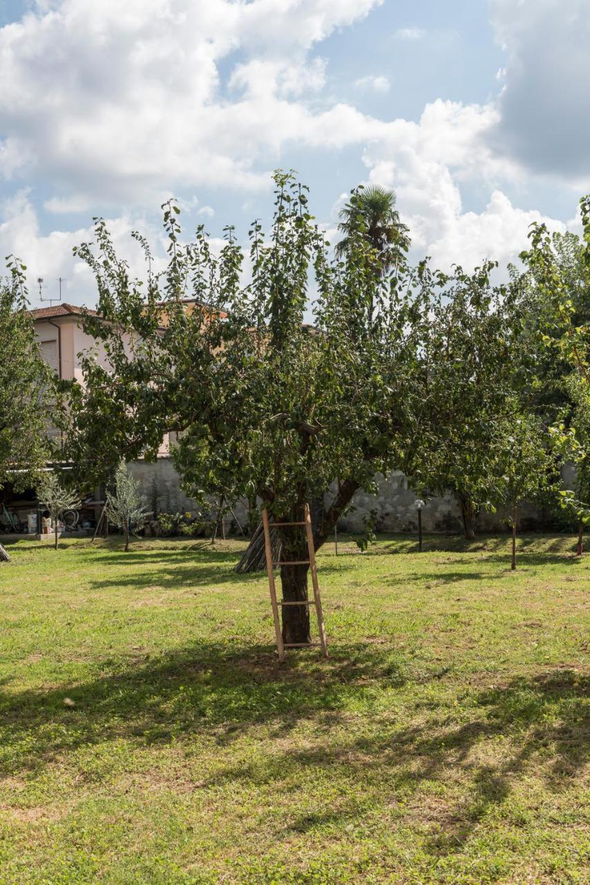 La Chiusa Delle Monache Bed & Breakfast Lucca